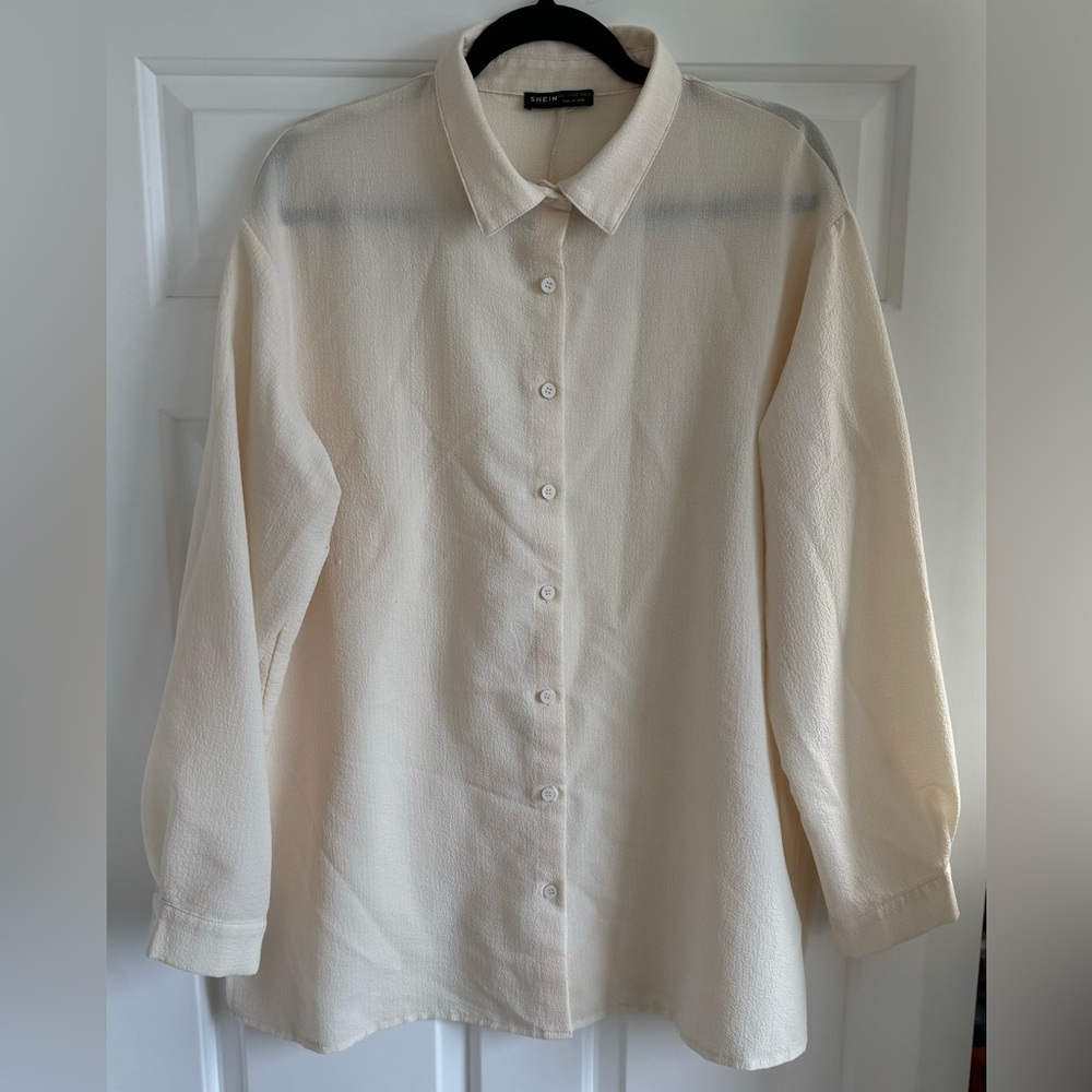 Sheer Oversized blouse